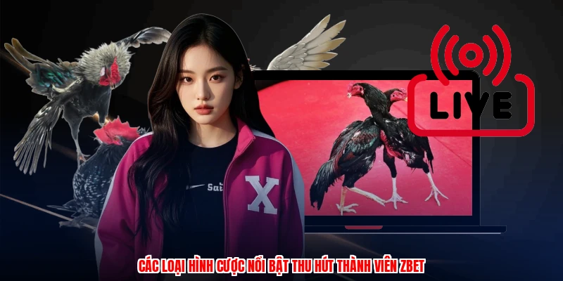 Các loại hình cược nổi bật thu hút thành viên thương hiệu