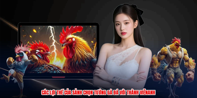 Các lợi thế của sảnh chọn tướng gà đá với thành viênanh