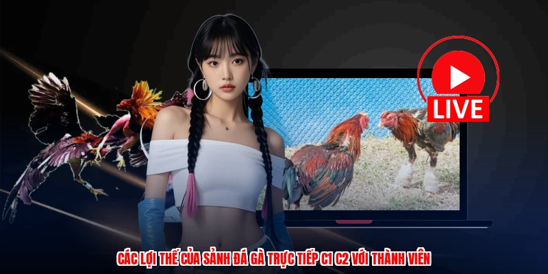 Các lợi thế của sảnh đá gà trực tiếp C1 C2 với thành viên