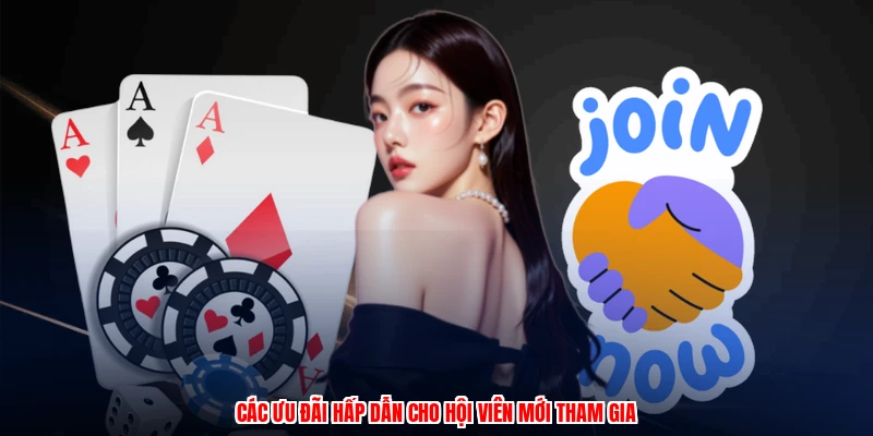 Các ưu đãi hấp dẫn cho hội viên mới tham gia