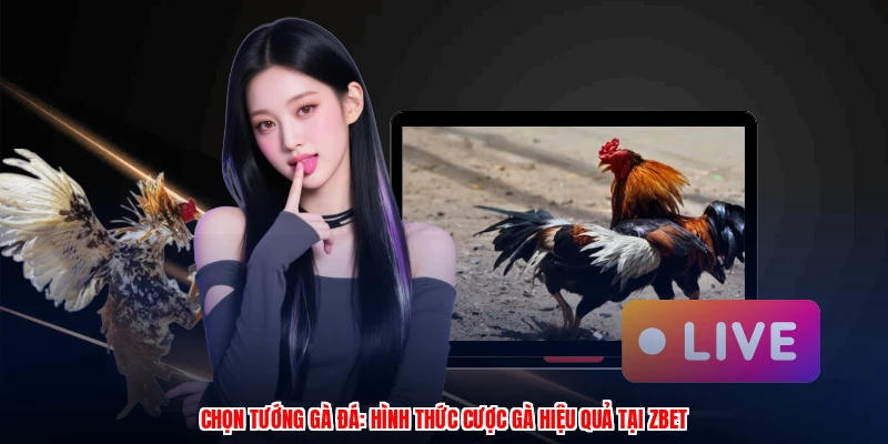 Chọn Tướng Gà Đá: Hình Thức Cược Gà Hiệu Quả Tại ZBET