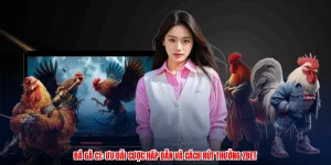 Đá Gà C1: Ưu Đãi Cược Hấp Dẫn Và Cách Rút Thưởng Thương Hiệu