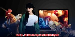 Đá Gà Tre - Các Hình Thức Cược Gà Phổ Biến Nhất Hiện Nay
