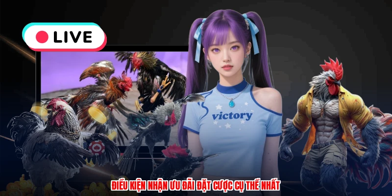Điều kiện nhận ưu đãi đặt cược cụ thể nhất