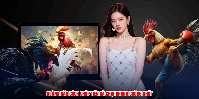 Hướng dẫn cách chấp tiền gà chọi nhanh chóng nhất