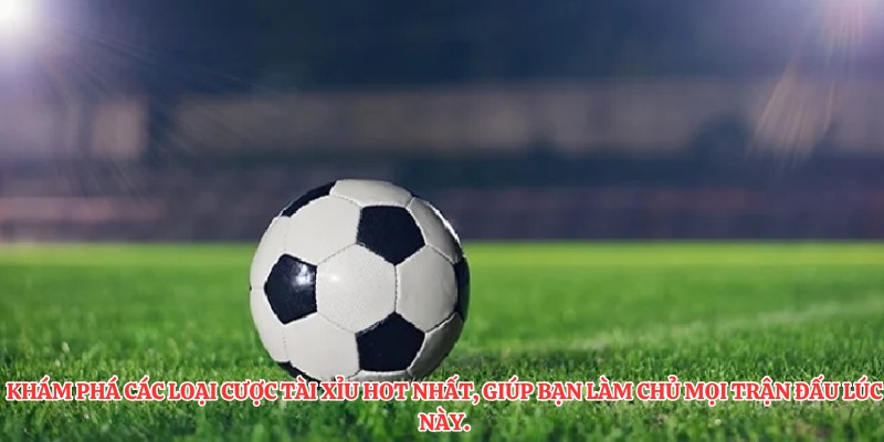 Khám phá các loại cược tài xỉu hot nhất, giúp bạn làm chủ mọi trận đấu lúc này.