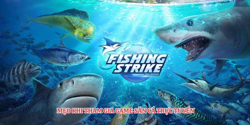 Mẹo khi tham gia game săn cá trực tuyến
