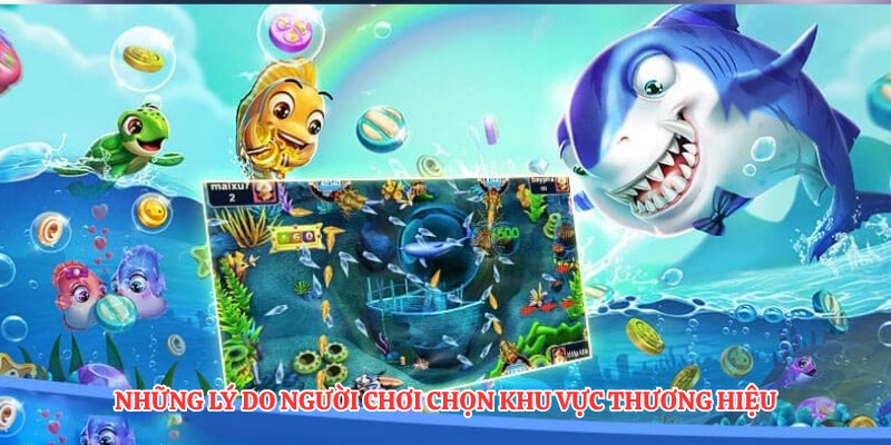 Những lý do người chơi chọn khu vực thương hiệu