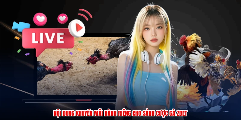 Nội dung khuyến mãi dành riêng cho sảnh cược gà ZBET