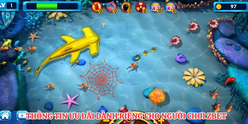 Thông tin ưu đãi dành riêng cho người chơi ZBET