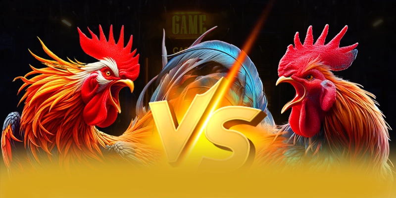 BET168 - Cổng giải trí sở hữu kho game phong phú 2026