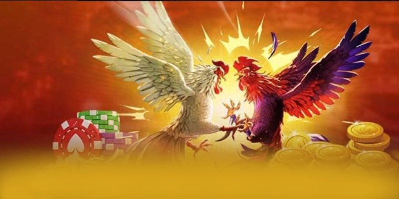Phản hồi từ game thủ về 8XBET